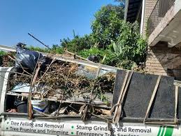 Best Same-Day Junk Removal Services  in Leonardo, NJ